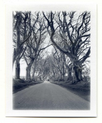 Dark Hedges, Ireland. Fuji Instant film by Florent Dudognon
