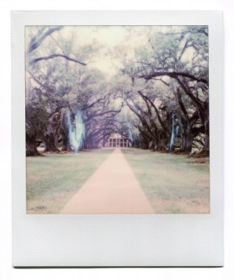 Oak Alley. Polaroid by Florent Dudognon