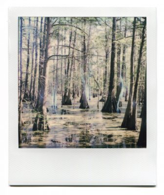 Bayou in Lake Martin, Louisiana. Polaroid by Florent Dudognon