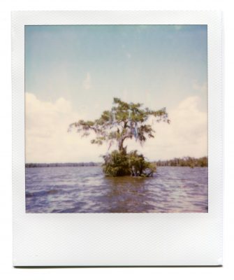 Lake Martin, Louisiana. Polaroid by Florent Dudognon
