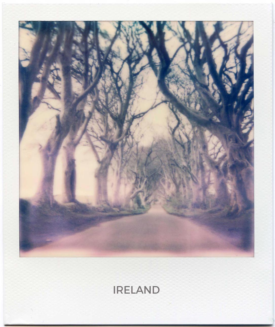 Florent Dudognon ireland polaroid