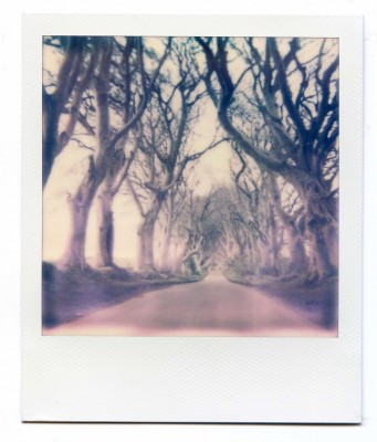 Dark Hedges, Ireland. Polaroid by Florent Dudognon