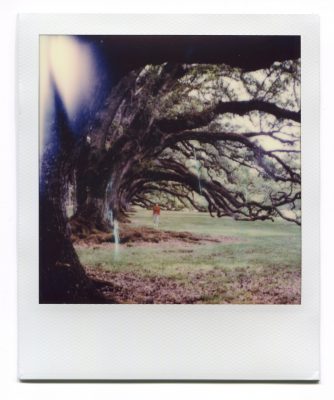 Under the oaks. Polaroid by Florent Dudognon