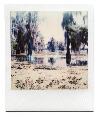 Alligator in Lake Martin, Louisiana. Polaroid by Florent Dudognon