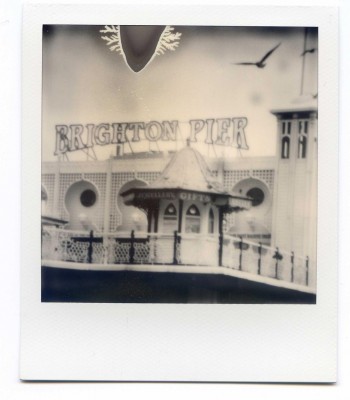 Seagull, Brighton Pier, England. Polaroid by Florent Dudognon