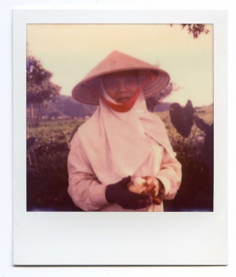 Tea harvest, Vietnam. Polaroid by Florent Dudognon